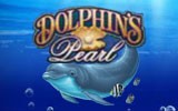 Dolphin's Pearl